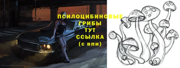гидра Лабытнанги