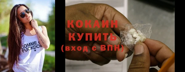 мет Лагань