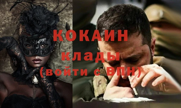 бошки Ладушкин