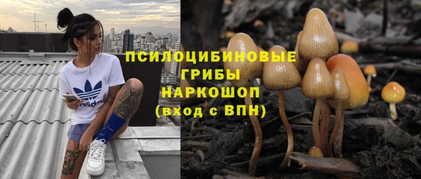 мет Лагань
