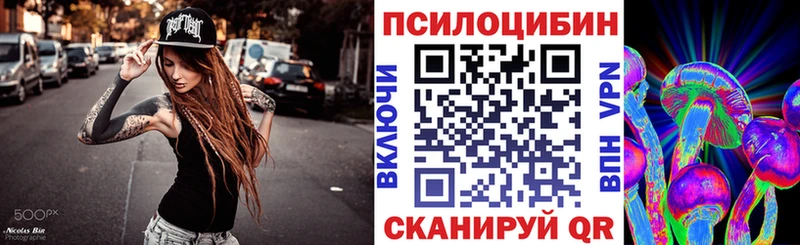 Галлюциногенные грибы Psilocybe  Купить  Звенигово 